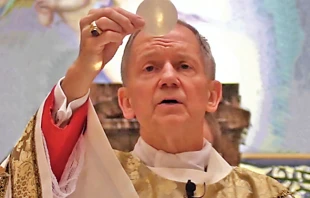 Bishop Thomas Paprocki. Courtesy Diocese of Springfield.